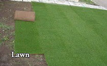 Joseph Mat Landscape Lawn